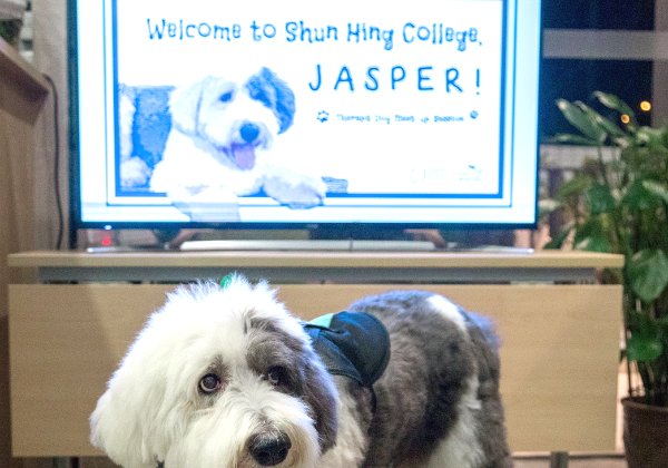 21 November 2018 Jasper at Shun Hing College